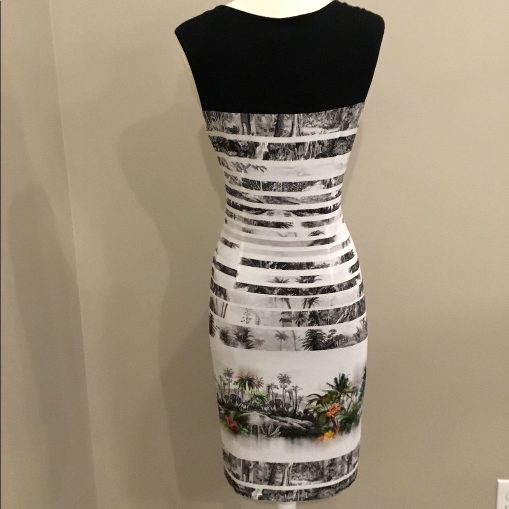 Michael Tyler Collection - Picture 2 of 16